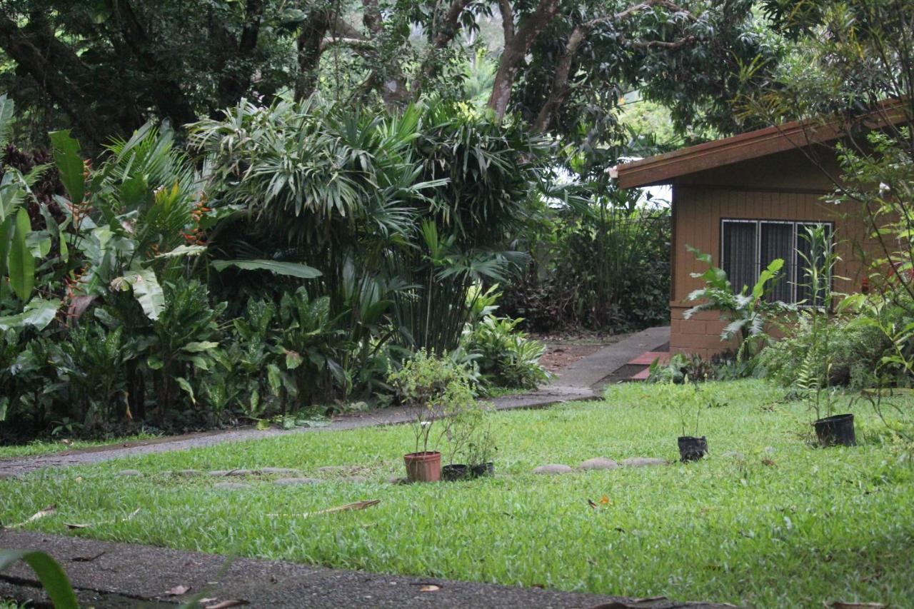 Hotel Iguana Libre Dominical Exterior foto